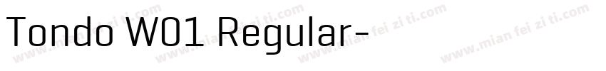 Tondo W01 Regular字体转换
